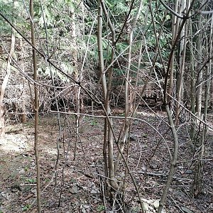Zdena Trommler on the summit of Hlásnice J (30.3.2023 11:10)