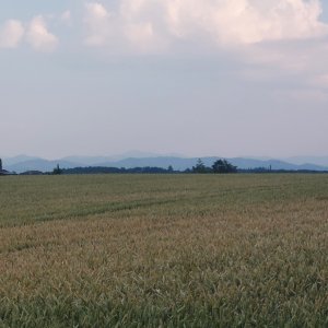 Bohumír Michal na vrcholu Majerovec (29.6.2026 18:58)