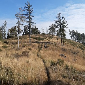 ZdenkaV na vrcholu Oldřichov (10.10.2021 14:29)
