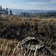 ZdenkaV na vrcholu Oldřichov (10.10.2021 14:29)