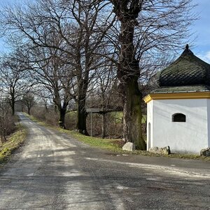 Alexandr Starý na vrcholu Pěnkavčí vrch (12.2.2024 10:05)