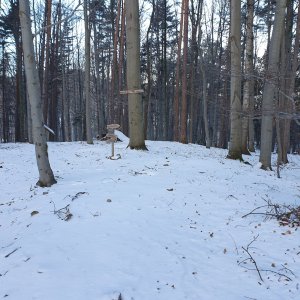 Ivo na vrcholu Papratná (30.12.2025 9:41)