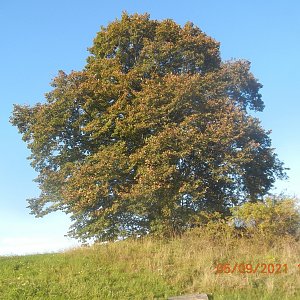 PA!WELL na vrcholu Pod Olšemi (5.9.2021)