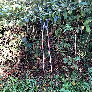 Radka D na vrcholu Tichavská hůrka V (2.10.2022 9:55)