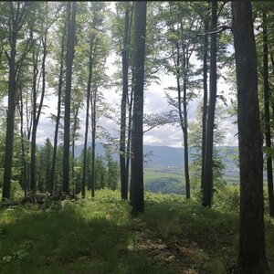 Zdena Trommler na vrcholu Tichavská hůrka V (13.5.2023 11:10)