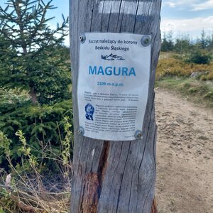 Ila na vrcholu Magura (28.4.2024)