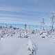 Marťajs42 na vrcholu Trzy kopce (31.1.2021 3:27)