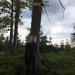 Kačička na vrcholu Trzy kopce (5.6.2021 12:00)