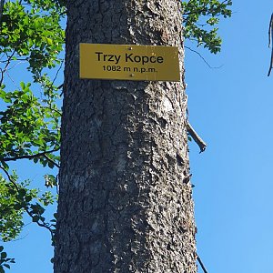 IG na vrcholu Trzy kopce (6.7.2021 8:43)