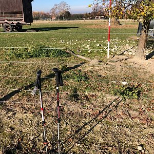 Radka D na vrcholu Na Hlínách (13.11.2022 11:35)