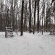 ZdenkaV na vrcholu Místecký les (11.1.2024 11:44)