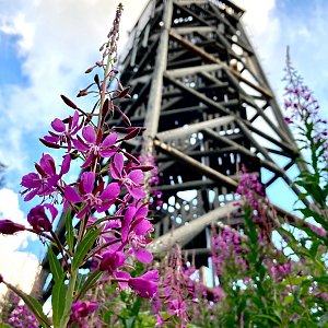 Káťa na vrcholu Boubín (1.8.2022 20:20)