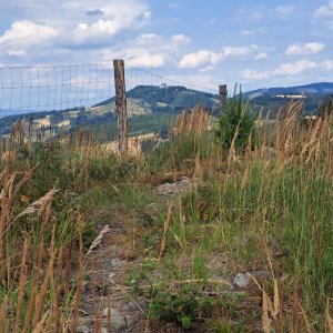 Horalka Anička on the summit of Poschlá (22.7.2023)