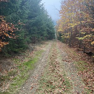 Mertelici na tripu na vrcholu Barvínek (28.10.2022 16:14)