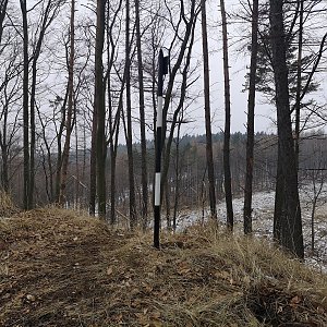 Cody na vrcholu Hrádek (21.2.2021)