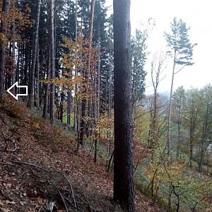 Jiřina na vrcholu Čecher (28.10.2022 17:26)