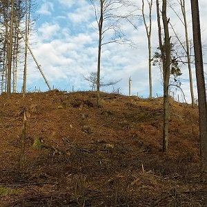 Petr h_vipet na vrcholu Brda (3.1.2021 10:55)