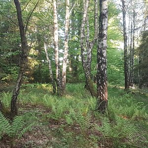 JezMax na vrcholu Mionší (15.5.2022 18:45)