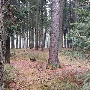 Cyklista 73 na vrcholu Adamův kopec (2.12.2022 11:56)