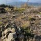 Radka D on peak Zelená