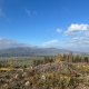 Radka D on peak Zelená