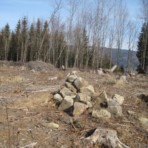 ZdenkaV on the summit of Zelená (4.3.2025 11:57)