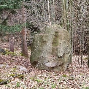 Petra na vrcholu Poustevna (5.4.2021 16:05)