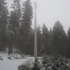 Nojby on the summit of Dvorský vrch (4.12.2021 15:21)