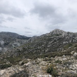 Betička na vrcholu Es Caragolí (7.6.2023 12:30)