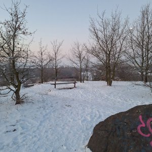Cyklista 73 on the summit of Havran (17.2.2025 6:56)