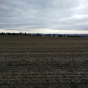 Vladimír Grančay na vrcholu Kozák (30.1.2021 15:29)