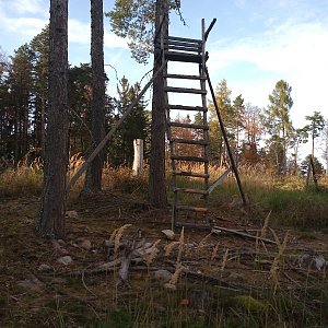 VěrkaN na vrcholu Vysoká (29.10.2022 15:37)