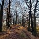 Hanka K. na vrcholu Křížová hora (6.11.2021 13:15)