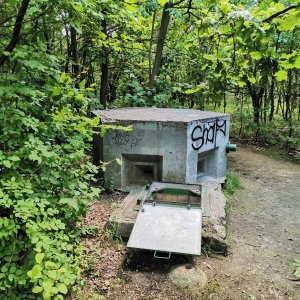Šárka na vrcholu Hladový vrch (16.6.2026 11:27)