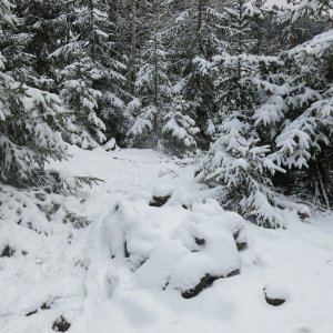 ZdenkaV on the summit of Zlaté díry (24.12.2024 12:17)