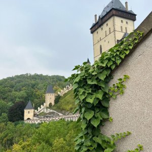 Betička na vrcholu Hradní vrch (16.8.2025 16:03)