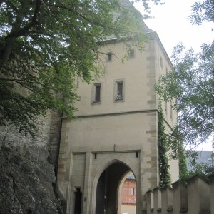 ZdenkaV na vrcholu Hradní vrch (18.9.2026 10:04)