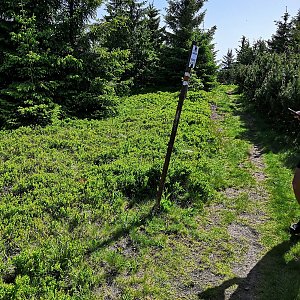 Karlos na vrcholu Kubínska hoľa (19.6.2022 9:47)