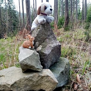 Jiřina na vrcholu Kavalčanky Z vrchol (1.5.2022 10:10)