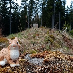 Jiřina na vrcholu Kavalčanky J vrchol (1.5.2022 10:50)