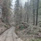 Zdena Trommler na vrcholu Holý vrch JZ (13.2.2025)