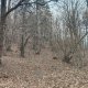 Zdena Trommler na vrcholu Holý vrch JZ (13.2.2025)