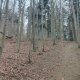 Zdena Trommler na vrcholu Holý vrch JZ (13.2.2025)