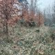 Zdena Trommler na vrcholu Holý vrch JZ (13.2.2025)