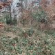 Zdena Trommler na vrcholu Holý vrch JZ (13.2.2025)