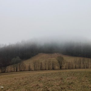 Zdena Trommler na vrcholu Holý vrch JZ (13.3.2025 15:11)