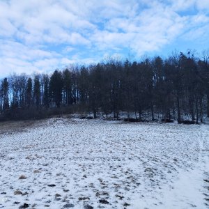 Zdena Trommler na vrcholu Holý vrch JZ (17.3.2025 16:02)