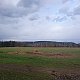 Nojby na vrcholu Havířský vrch (3.4.2021 16:02)