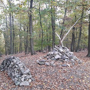 Hancula na vrcholu Holedná (16.10.2022 11:15)