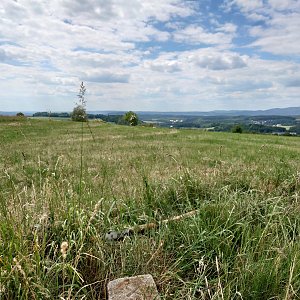 Nojby on the summit of Lysý vrch (11.6.2022 14:51)